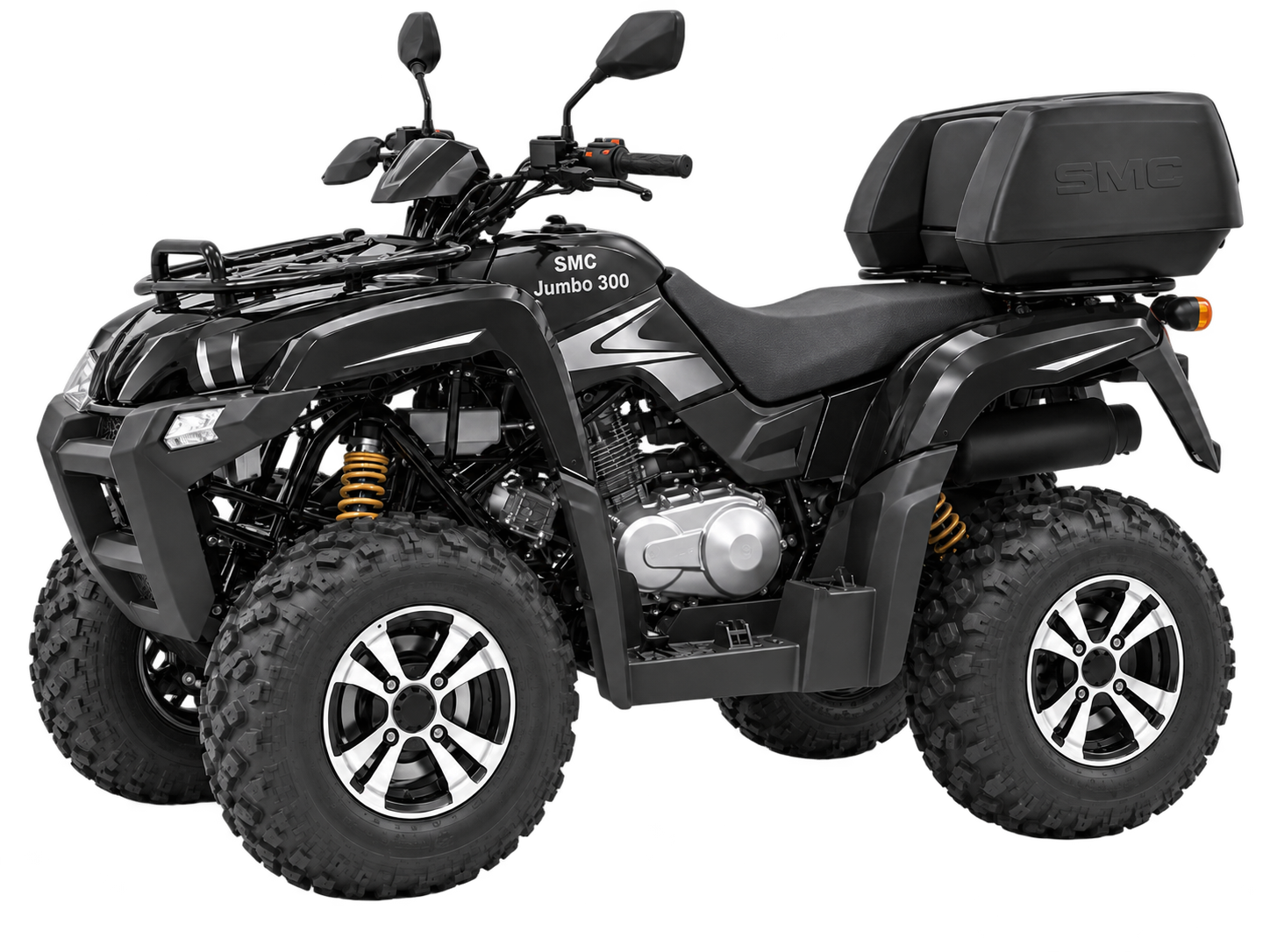 Quad 300 cc